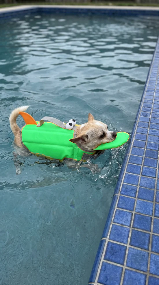 b81e2262faefcda881b72b967adccc13.png